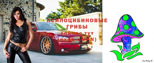 тгк Абдулино